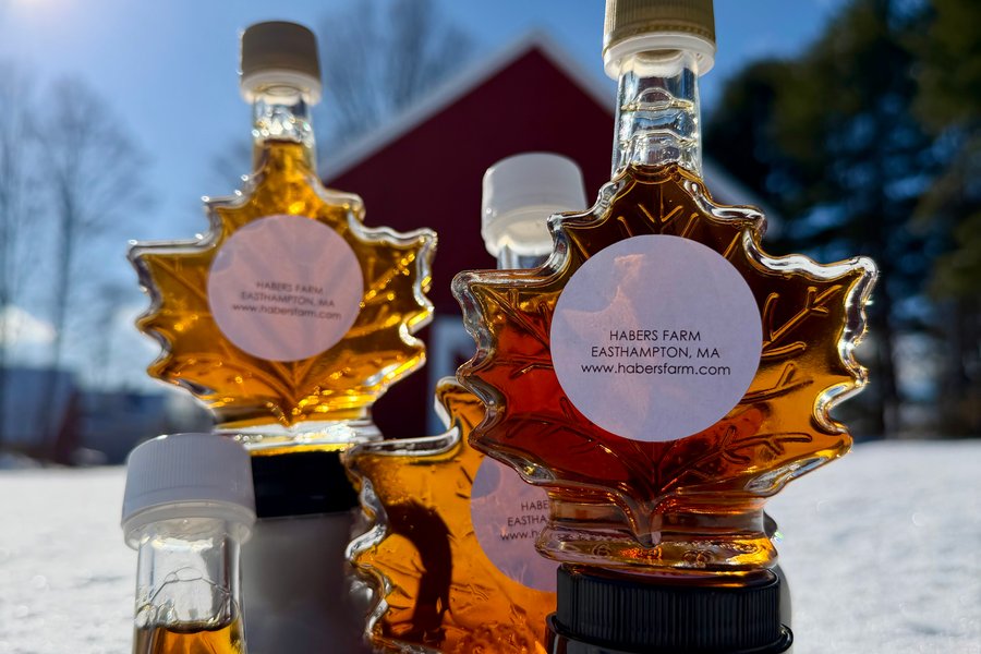 Habers Farm maple syrup