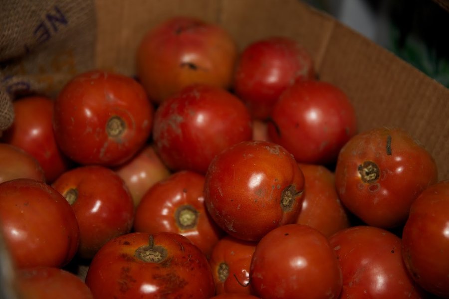 Vine-ripened tomatoes